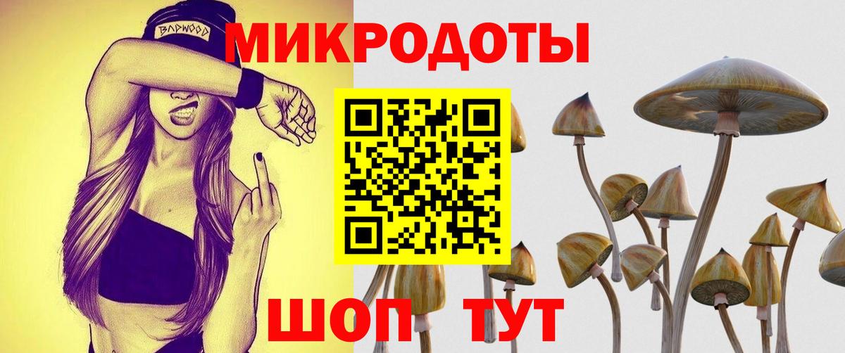 Псилоцибиновые грибы GOLDEN TEACHER Тихорецк